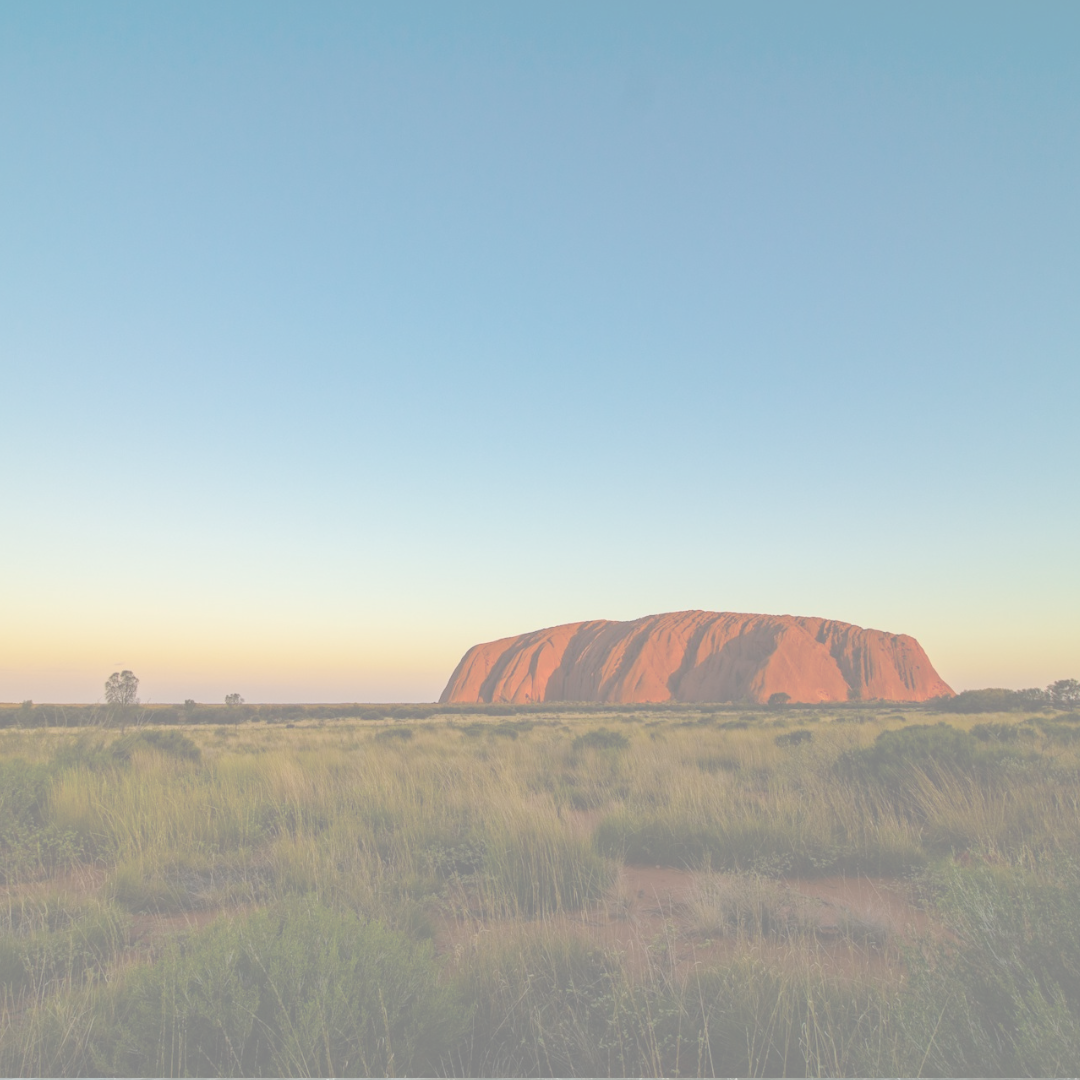 Borne Blog - Borne