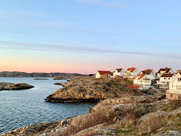 Learn Swedish Online With Ai - Borne Learn Swedish Fast